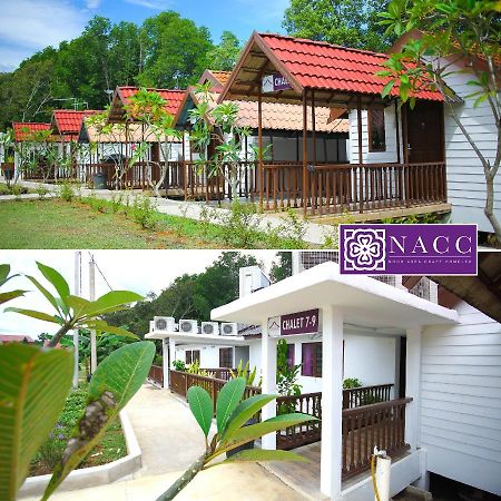 Noor Arfa River Chalet Kuala Terengganu Ngoại thất bức ảnh